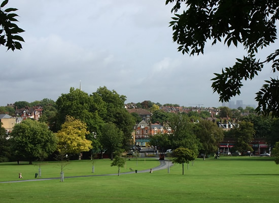 Herne Hill from Brockwell Park